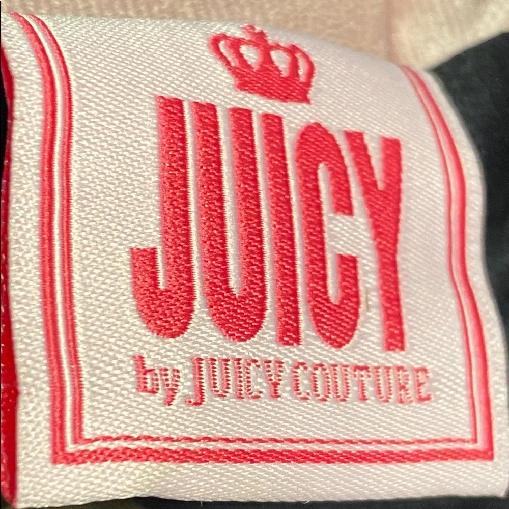 Juicy By Juicy Couture Y2K Pink Plush Large Velour Pillow with Leopard Accents.